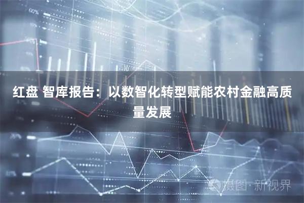 红盘 智库报告：以数智化转型赋能农村金融高质量发展