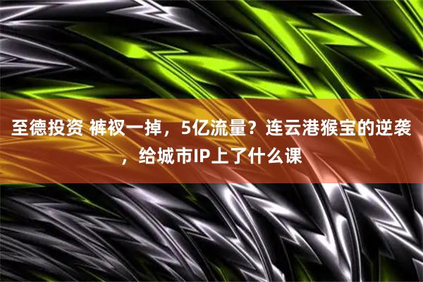 至德投资 裤衩一掉，5亿流量？连云港猴宝的逆袭，给城市IP上了什么课